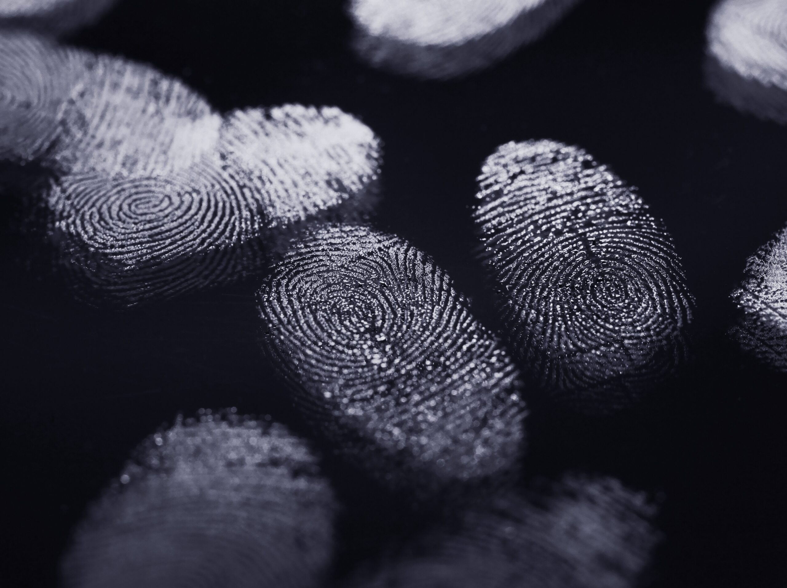 Top Reasons Why FINRA Fingerprints Are Needed Before Working in Securities